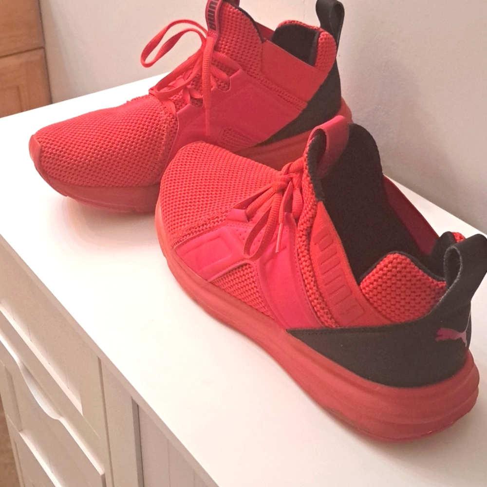 Pumas